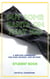 Put Some Pants on That Kid: A Writing Handbook for High School and Beyond (Student Book) - Put Some Pants on That Kid Essay Writing Curriculum, #1