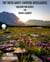 The Truth About (Counter) Intelligence: Equation for Illness or Joyous Garden? - The Truth About Everything by Molly Mapenthorpe, #2