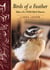 Birds of a Feather - Tales of a Wild Bird Haven