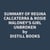 Summary of Regina Calcaterra & Rosie Maloney's Girl Unbroken