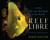 Reef Libre - Cuba—The Last, Best Reefs in the World