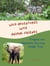 Virginia the Elephant’s Exciting Jungle Trek - Wild Adventures with Animal Friends, #2