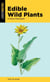Edible Wild Plants - A Falcon Field Guide