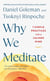 Why We Meditate - 7 Simple Practices for a Calmer Mind