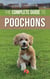 The Complete Guide to Poochons