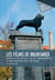 Les Félins de Brunswick - Henri le Lion, duc de Saxe, et ses fils : l’empereur Otton IV, le comte palatin Henri (XIIe et XIIIe siècles)