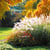 Dankeschön - Park im Herbst
