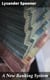 A New Banking System - The Needful Capital for Rebuilding the Burnt District