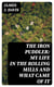 The Iron Puddler: My Life in the Rolling Mills and What Came of It