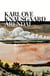 Arendal - The atmospheric new novel from ‘one of the finest writers alive’ New York Times