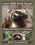 Raccoons Photos and Facts for Everyone - Learn With Facts Series, #92