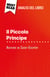 Il Piccolo Principe di Antoine de Saint-Exupéry (Analisi del libro) - Analisi completa e sintesi dettagliata del lavoro