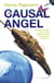The Causal Angel
