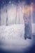 The Depths of Winter