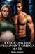 Rescuing His Pregnant Omega Mate - Pregnant, Kidnapped, and Rescued, #1