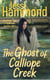 The Ghost of Calliope Creek