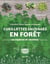 Cueillettes sauvages en forêt - 44 espèces et recettes - Fruits, fleurs, feuilles, mousses, champignons