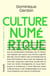 Culture numérique