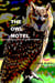The Owl Motel: And Other Places Where You Are Not Welcome