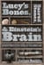 Lucy's Bones, Sacred Stones, & Einstein's Brain - The Remarkable Stories Behind the Great Objects and Artifacts of History, From Antiquity to the Modern Era