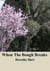 When The Bough Breaks - Australian historical novel - The Katy Tree, #1
