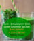 Anti – Inflammatory Diet Green Smoothie Recipes - Baby Spinach in Every Recipe! - Anti - Inflammatory Smoothie Recipes, #7