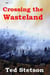 Crossing the Wasteland - Young Adult, #1