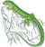 Conte du lézard vert