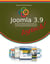 Joomla 3.9 logisch! - Einfache Webseitenerstellung ohne Programmierkenntnisse