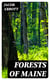Forests of Maine - Marco Paul's Adventures in Pursuit of Knowledge
