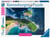 1000P INDONESIE RAVENSBURGER