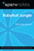 Rubyfruit Jungle (SparkNotes Literature Guide)