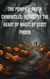 The Pumpkin Patch Chronicles: Quest for the Heart Of Magic