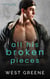 All His Broken Pieces - Faultless Flaws, #1