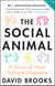 The Social Animal - A Story of How Success Happens