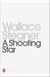 A Shooting Star