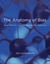 The Anatomy of Bias - How Neural Circuits Weigh the Options