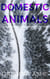 Domestic Animals - Hazard and Somerset: Arrows in the Hand, #3