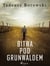 Bitwa pod Grunwaldem