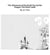 The Adventures of the Small Toy and the Dragon: The Giant Castle - 1, #0
