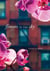 Flowers in the Sky