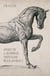 Spirit of a Hundred Thousand Dead Animals - Rudley Mystery, A