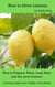 How to Grow Lemons - Growing Guides