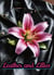 Leather and Lillies - Inflamed Flowers, #2