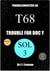 Trouble for Doc Y (Troubleshooters 68)