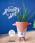 MES PLANTES ONT DU POT - 10 tutos tendance et déco