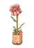 Maquette 104 pièces - Rose - Rowood