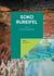 SOKO Rureifel - Der Legionsadler