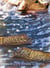 Trouble the Water