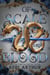Of Scale and Blood - The Drakkon Kin Trilogy, #2